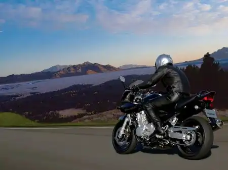 Suzuki Bandit