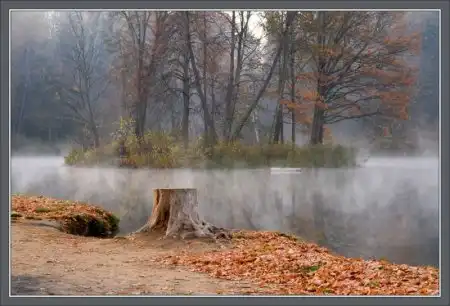 Красивые осенние фотографии