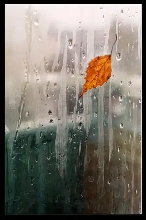 Красивые осенние фотографии