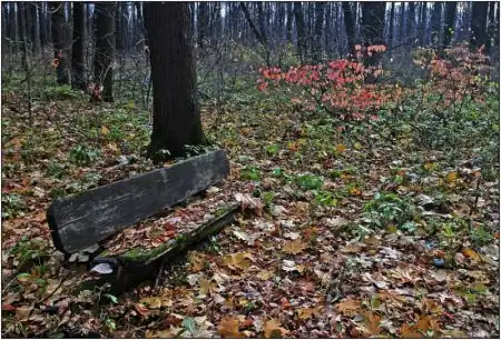Красивые осенние фотографии