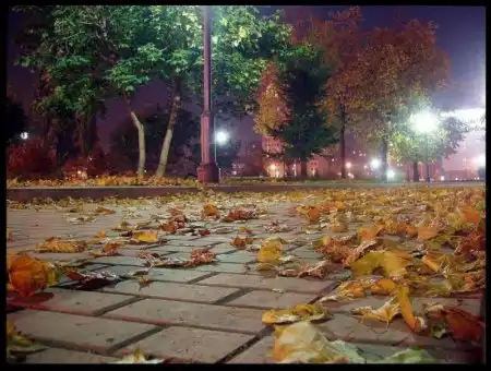 Красивые осенние фотографии