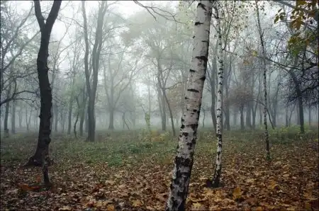 Красивые осенние фотографии