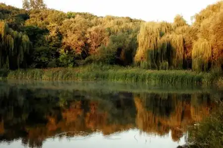 Красивые осенние фотографии