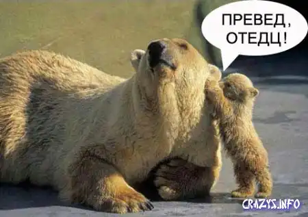 Увеличить картинку