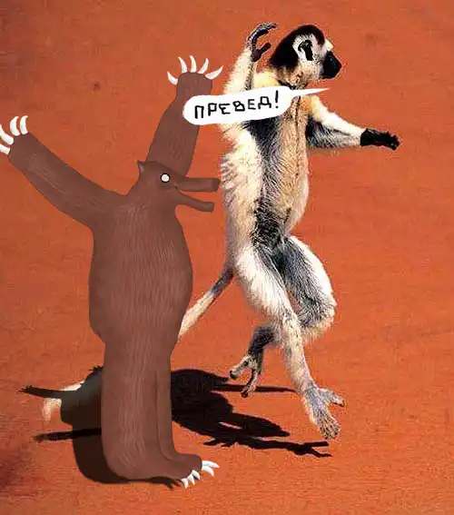 Толстая портсея "Преведов" !!! Кул !