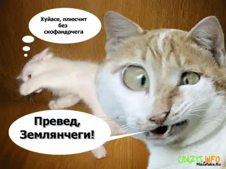Толстая портсея "Преведов" !!! Кул !