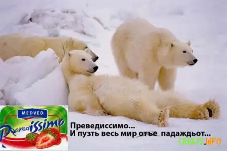 Толстая портсея "Преведов" !!! Кул !