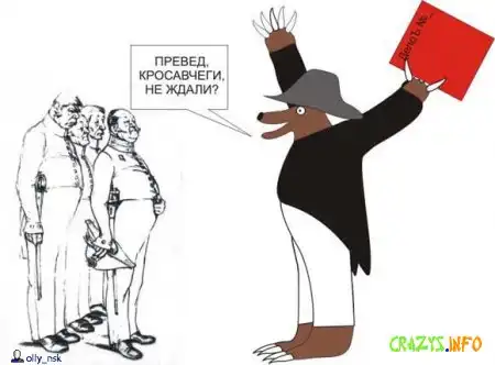 Толстая портсея "Преведов" !!! Кул !