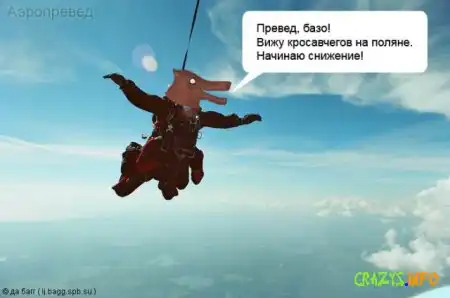 Толстая портсея "Преведов" !!! Кул !