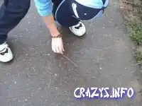 Фу-видео дня