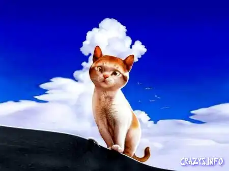 Очень трогательные и приятные фотографии Makoto Muramatsu