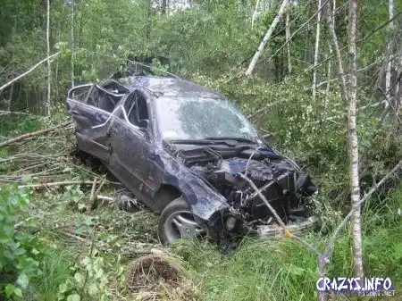 Два убитых BMW