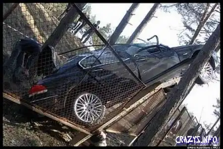 Два убитых BMW
