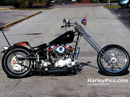 Harley Davidson exclusive