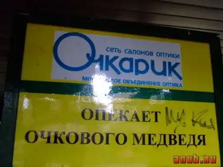 Очковые Медведы о_0
