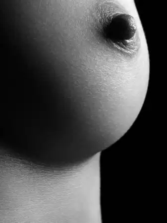 Shadow Art