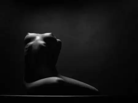 Shadow Art