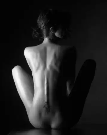 Shadow Art