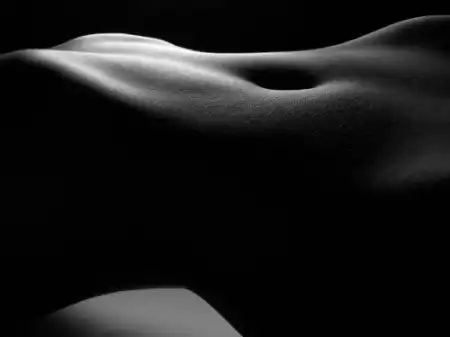 Shadow Art
