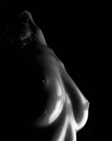 Shadow Art