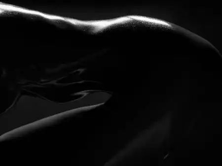 Shadow Art