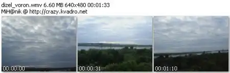 Атака ворон - видео от 2 августа 2006, томск