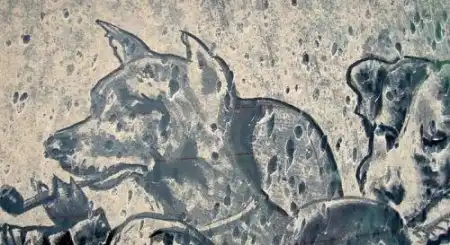 Рисунки на стеклах
