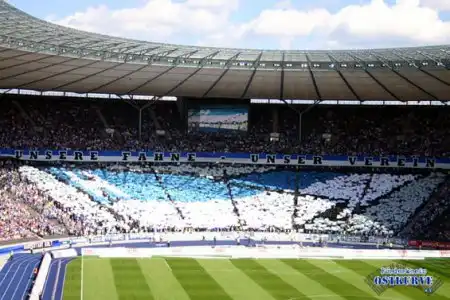 Ultras of all  World