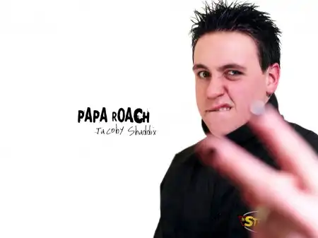 Papa Roach - немного картинок