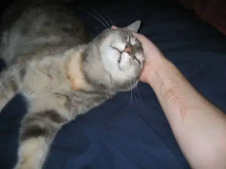 На среду