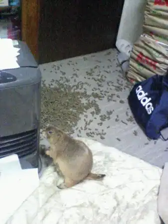 На среду
