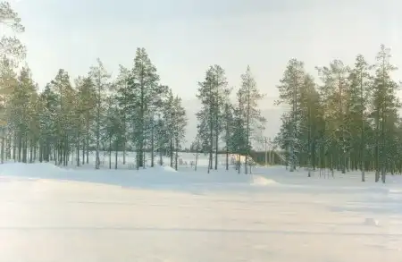Этой зимой... Часть третья