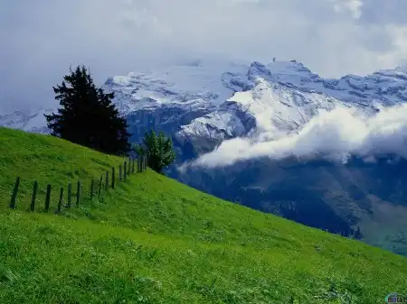 Mountains