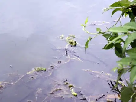 Сочи днем и ночью