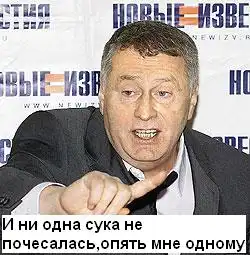 Фотожаба Жириновский