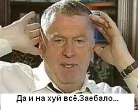 Фотожаба Жириновский