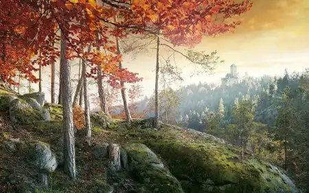 Работы фотографа Peter Burgstaller