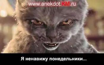 Подборка!!!!)))))