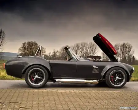Weineck Cobra 780 cui Limited Edition '2005-н.в