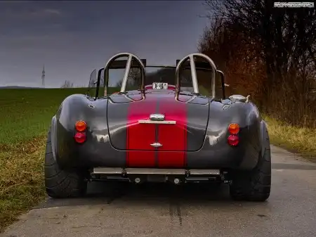 Weineck Cobra 780 cui Limited Edition '2005-н.в
