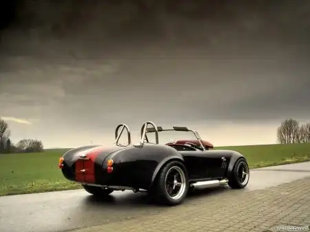 Weineck Cobra 780 cui Limited Edition '2005-н.в