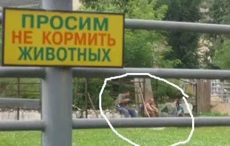 Юморные надписи