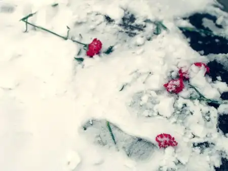 Как хочется жить