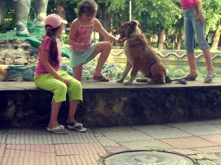 Как хочется жить