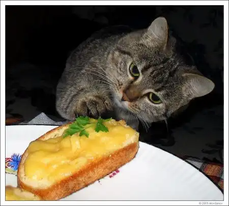 Всячина