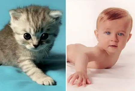 Похожие дети и котята (8 фото)
