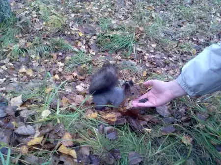 Прогулка по Лагерному саду