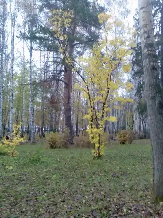 Прогулка по Лагерному саду