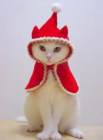 Улыбнемся!!!!!!)))))))