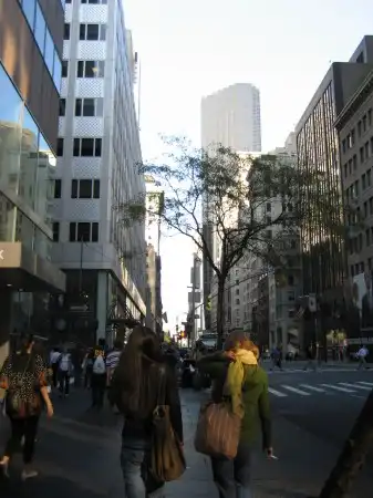 New York city )